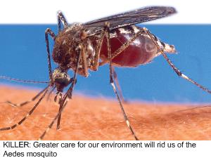 Fungsi Dan Tujuan Penyemburan Ubat Nyamuk diKawasan Rumah 